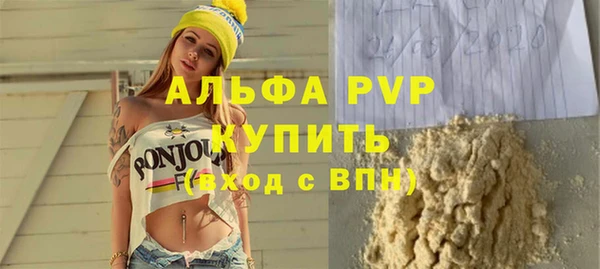 СК Белокуриха