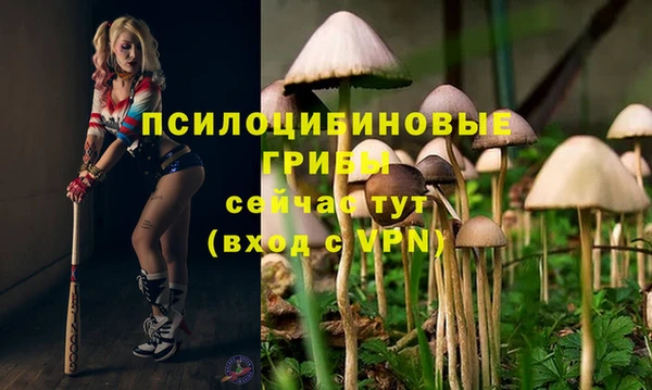 ешки Белоозёрский