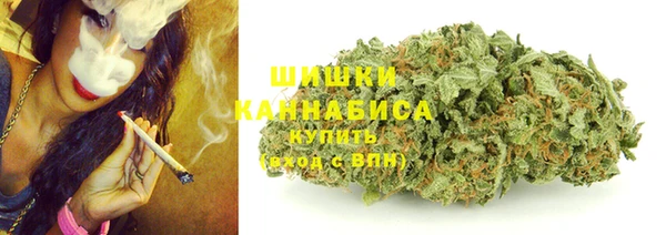 круглые Иннополис