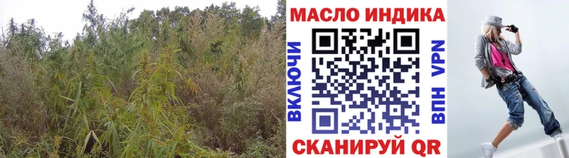 Дистиллят ТГК Wax где продают наркотики Мариинский Посад